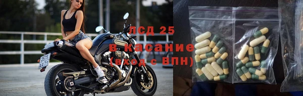spice Алзамай