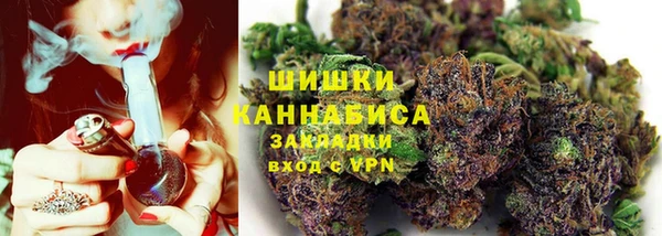 spice Алзамай