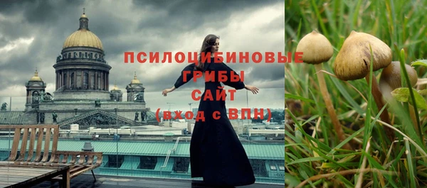 spice Алзамай