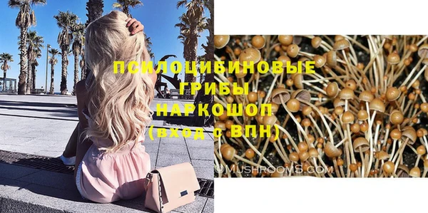 амф Алексеевка